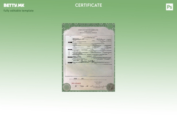 Модерен стил, шаблон за сертификат за раѓање во САД Северна Каролина